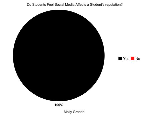 In what ways can social media affect a students reputation? - Molly Grandel