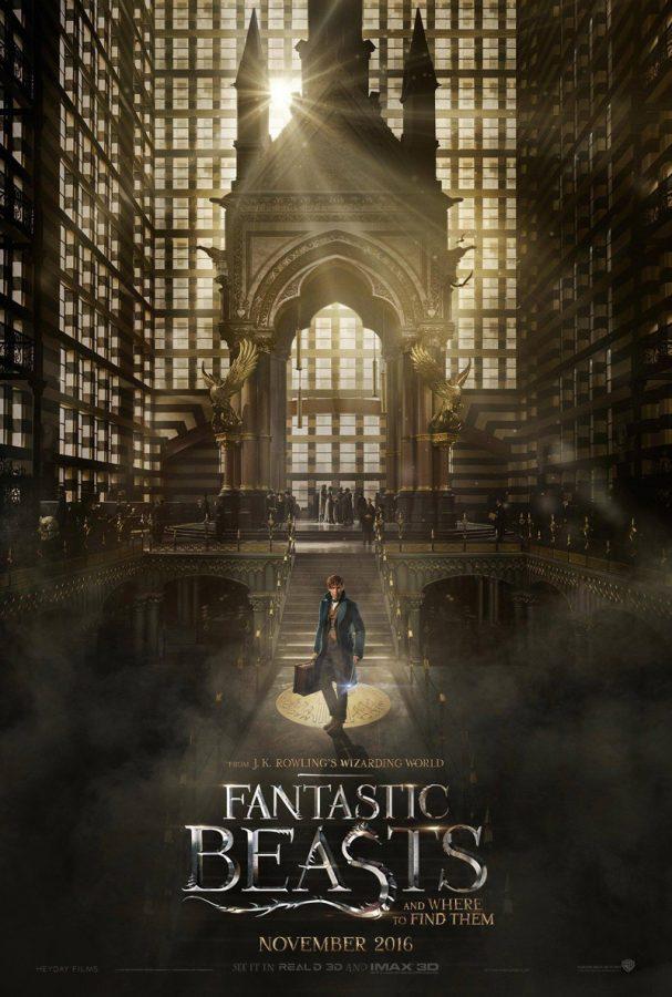Fantastic+Beasts+and+Where+to+Find+Them