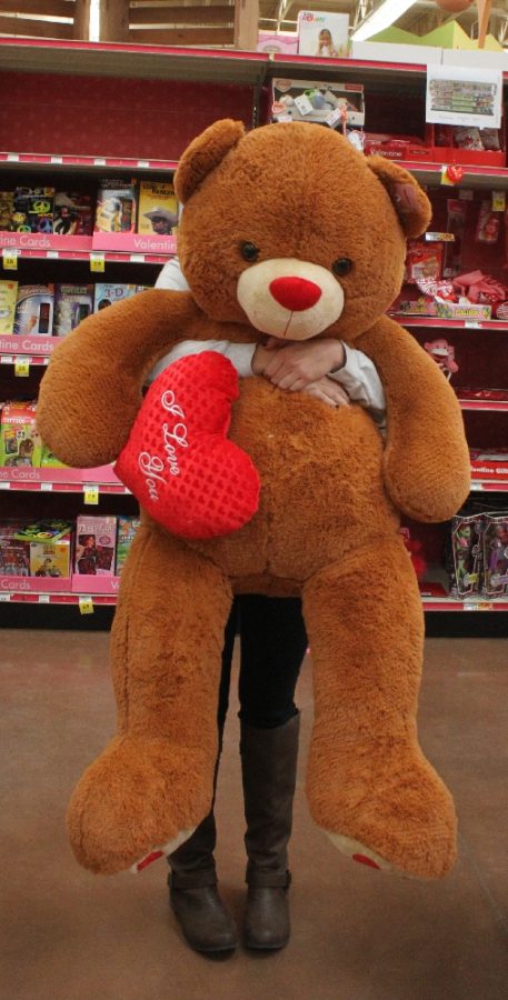 valentines day big bears