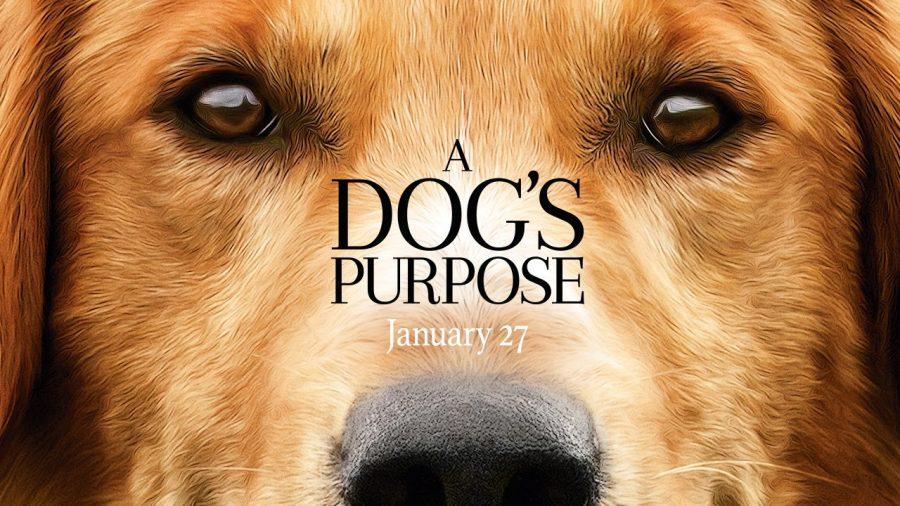 A+Dogs+Purpose