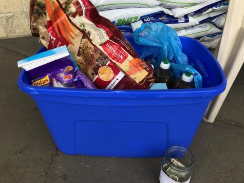 National Honor Society Collects Donations for Greene County Humane Society