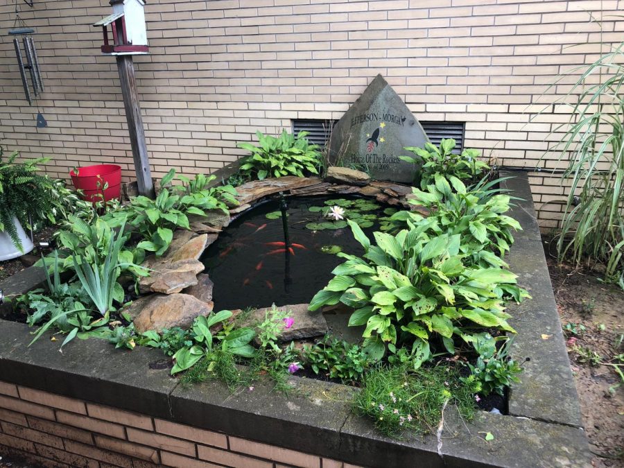 New Pond in the Courtyard