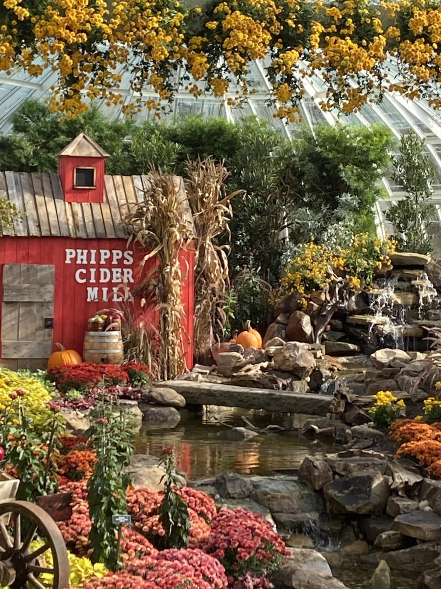 This scene is from the fall and harvest collection at PHIPPS.