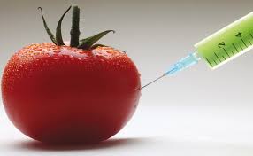 Opinions On GMO Foods
